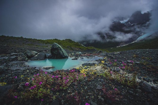Glacier and Mountain Viewing Tour - Meeting and Pickup Details