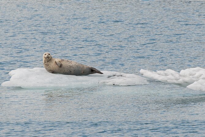Glacier Quest Cruise - Self-Drive From Anchorage, AK - Experiencing Blackstone Bay Glaciers and Waterfalls