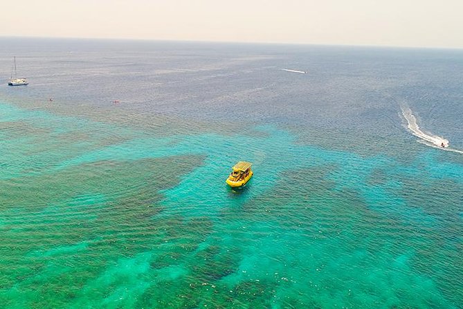 Glass Bottom Boat, Sloth, Monkey Park, Chocolate Factory & West Bay Beach - Glass Bottom Boat Cruise and Marine Life