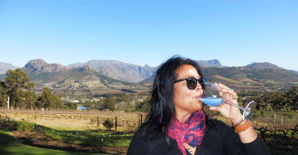 GO! Cape Winelands Tour - Paarl, Stellenbosch, Franschoek - Wine and Culinary Experience