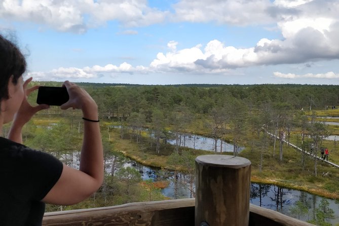 Go North – Private 1 Day Trip to Estonian Nature - Exploring Natural Beauty