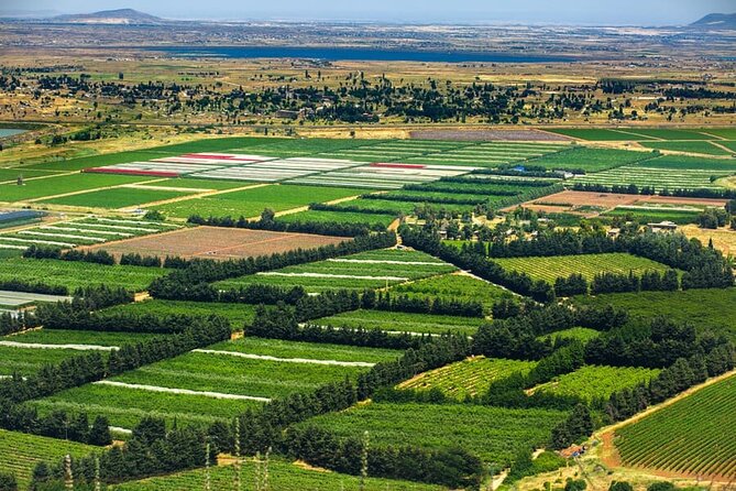 Golan Heights Day Trip From Jerusalem - Customer Feedback and Impressions