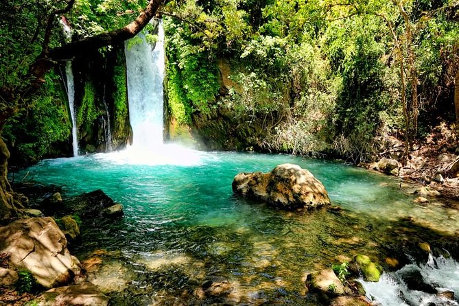 Golan Heights Day Trip From Tel Aviv - Visitor Reviews and Experiences