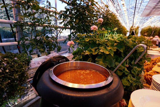 Golden Circle With Tomato Farm Lunch & Secret Lagoon Bathing - Cancellation Policy and Reviews
