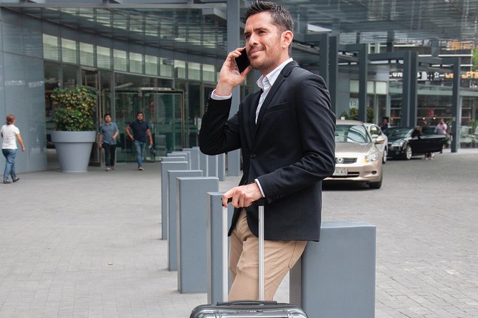 Granada Airport Private Departure Transfer - Luggage and Accessibility Policies