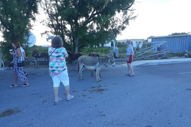 Grand Turk Island Wide Private Tour - Recommendations