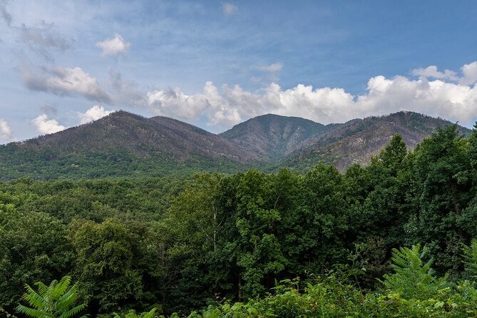 Great Smoky Mountains & Cades Cove Self-Guided Driving Tours - Comprehensive Route and Offline Navigation