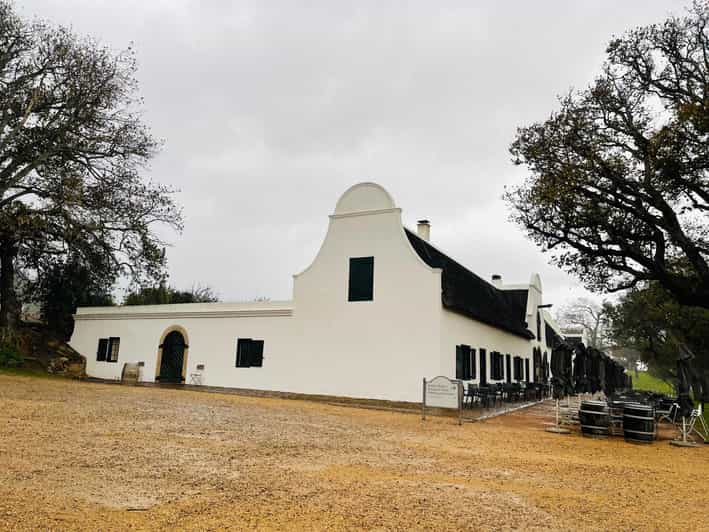 Groot Constantia and Cape Point Private Tour Including Fees - Activities and Experiences