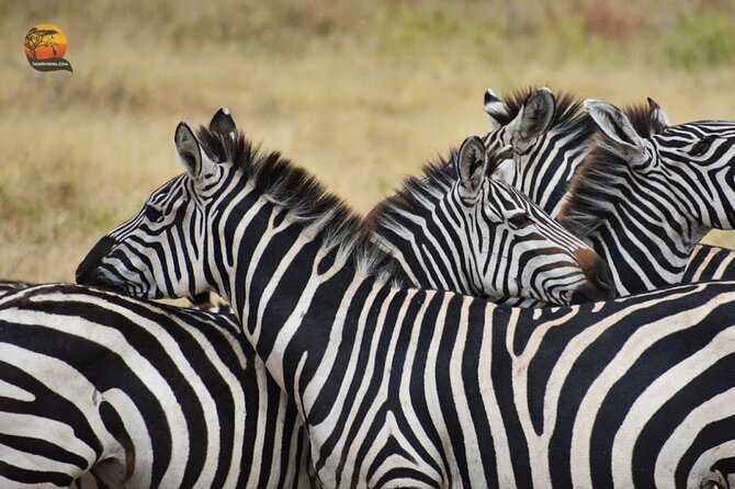 Group Safari 7 Days in Tanzanias Main Parks - Accommodations and Amenities