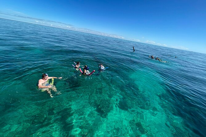 Group Snorkel & Sandbar From Hawks Cay - Inclusions of the Experience