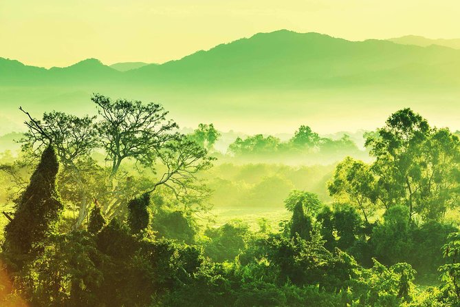 Guided Darien Jungle Experience - 5 Days / 4 Nights - Accommodations and Inclusions