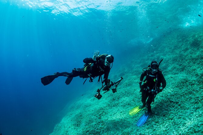 Guided Diving for Beginners Without Certification From Sorrento - Scenic Underwater Vistas