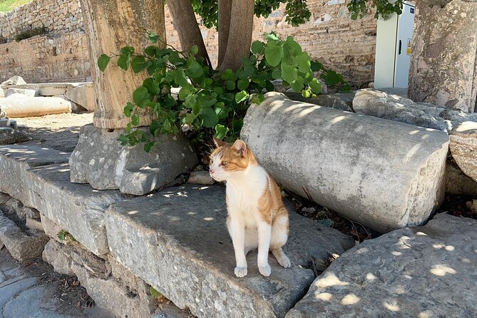 Guided Ephesus Tour From/to Izmir - Accessibility