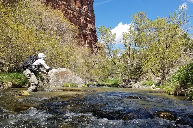 Guided Fly Fishing Experience in Park City - Booking Process and Pricing