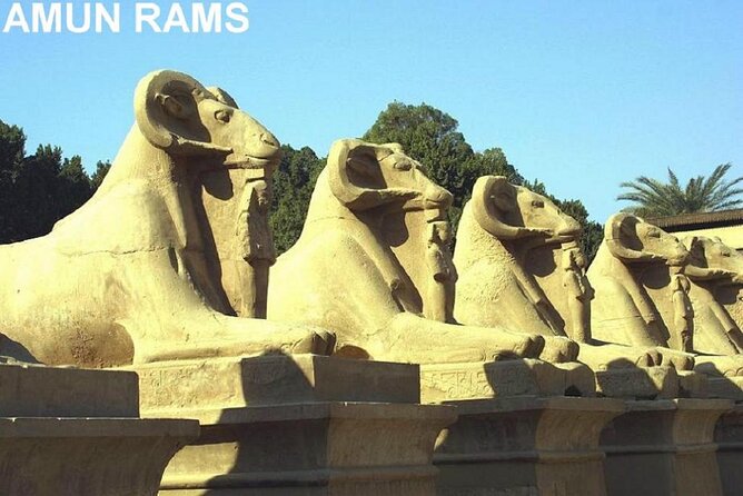 Guided Half-Day Tour of Nile East Bank From Luxor by Air-Conditioned Vehicle - Pickup and Meeting Point
