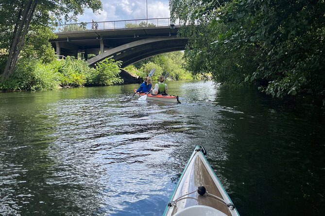 Guided Kayak Tour in Central Stockholm - Health and Safety Information