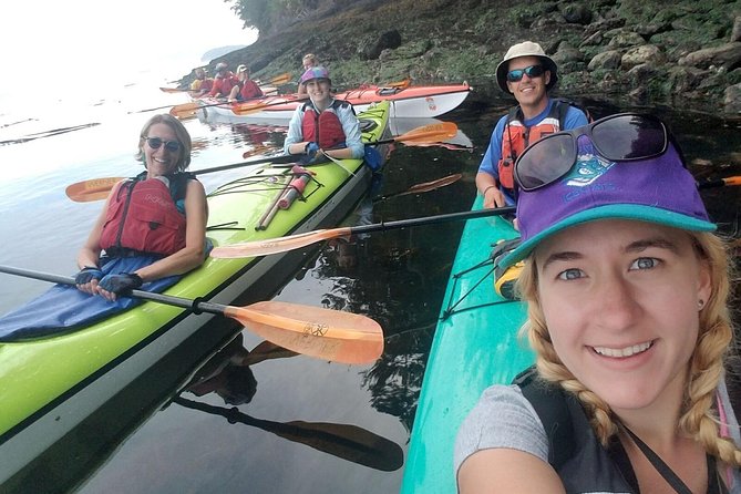 Guided Kayak Tour on San Juan Island - Wildlife Sightings During the Tour