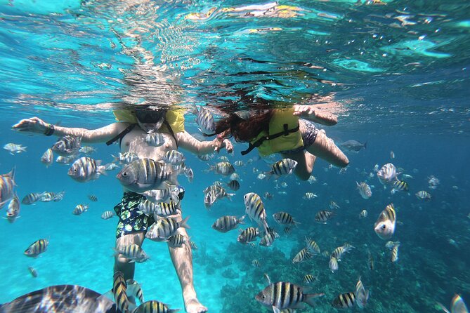 Guided Snorkeling Adventure in West Bay - Pricing and Reviews