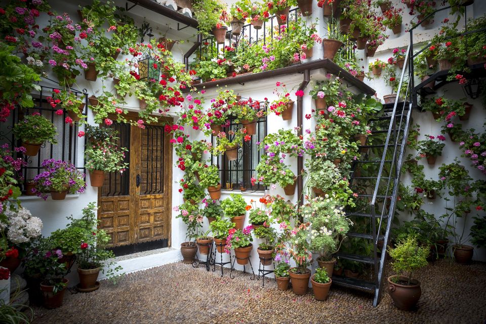 Guided Tour in Spanish to the Courtyards of Córdoba - Experience Highlights