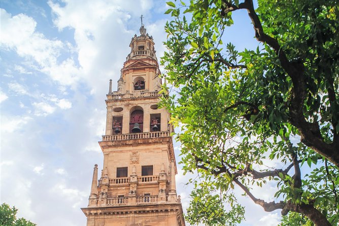 Guided Tour Jewish Quarter and Mosque-Cathedral of Córdoba With Tickets - Reviews and Ratings