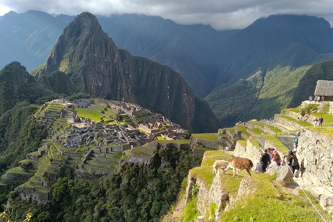 Guided Tour of Machupicchu: Private and Flexible 3 Hours - Additional Information