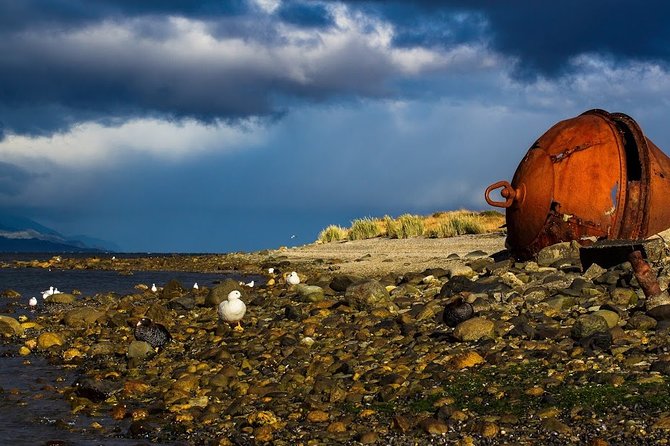 Guided Tour of the City of Ushuaia - Culinary Delights of the Southernmost City
