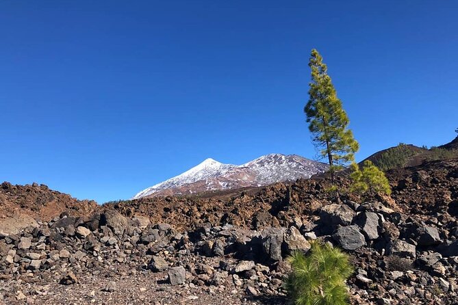 Guided Tour to Teide National Park in Tenerife - Accessibility and Participation