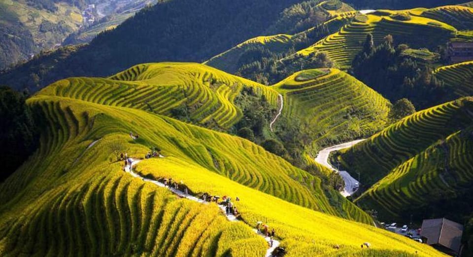 Guilin: Longji Rice Terraces and Minority Village Tour - Transportation and Amenities