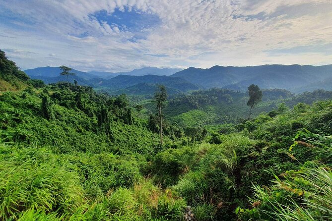 Hai Van Pass Private Car Tour From Hue-Da Nang-Hoi an (1way|Loop) - Traveler Experiences