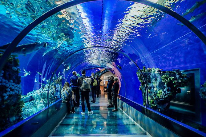 Half Day Antalya Aquarium Tour And Wax Museum - Pickup and Drop-off Logistics