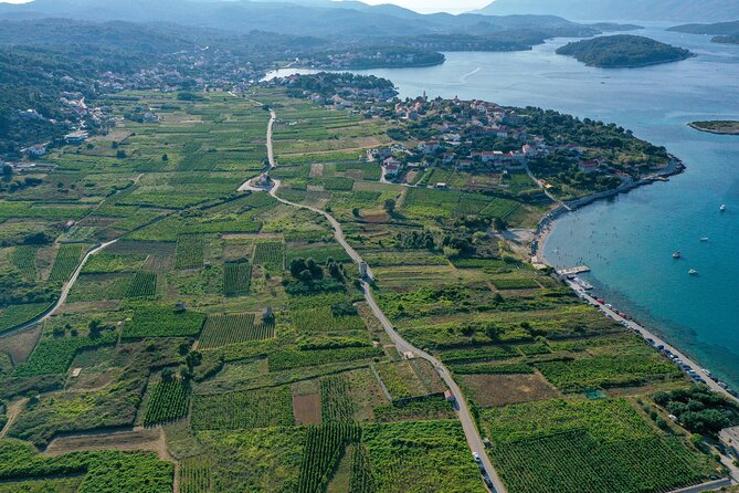 Half-Day Bike Tour in Lumbarda With Wine Tasting - Wine Tasting Experience