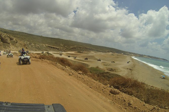 Half-Day Buggy Safari to Akamas Peninsula With Lunch - Akamas National Park Exploration