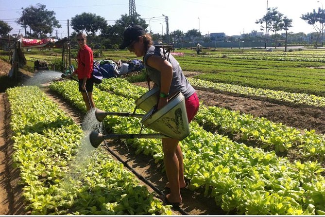 Half Day Cooking Class At Tra Que Vegetable Village Hoi An - Meeting and Pickup Information