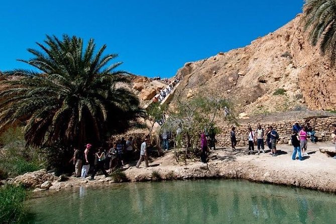 Half-Day Excursion the Mountain Oases From Tozeur - Transportation and Guidance