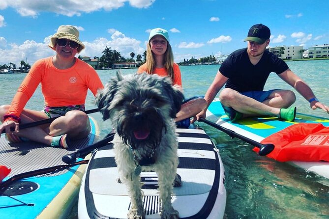Half Day Excursion to Johns Pass Sandbar & Mangrove Tunnel - Meeting Point and Logistics