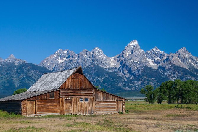 Half-Day Grand Teton Wildlife Safari Private Tour - Cancellation Policy