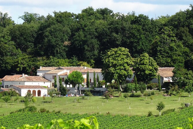 Half-day Guided E-Bike Ride to Discover The Cognac Vineyard - Tour Itinerary and Duration