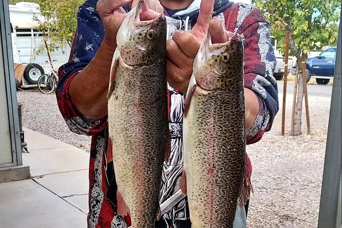 Half Day Guided Kayak Fishing Down the Verde River Cottonwood, AZ - A Guided Tour Tailored to You