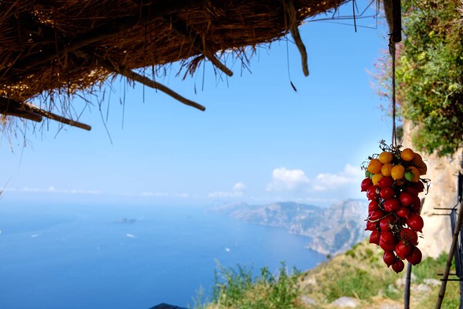 Half-Day Hiking to the Path of the Gods From Sorrento - Cancellation Policy