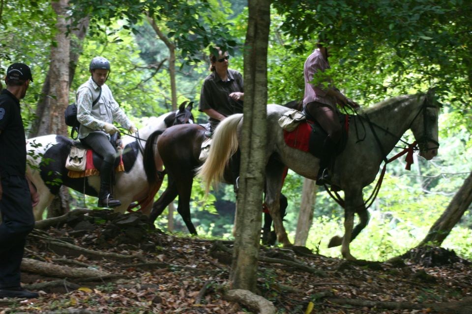 Half Day Horse Riding in Dambulla - Inclusions