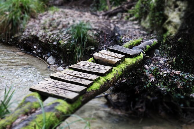 Half-Day River Trekking Stenosia From Kalamata - What to Expect