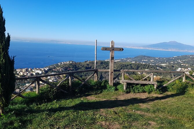 Half-Day Sorrento Private Tour by Vespa - Participant Requirements