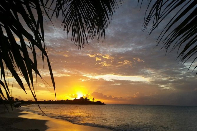 Half-Day Tour: A Taste of Paradise and History of Antigua - Historical Sites Visited