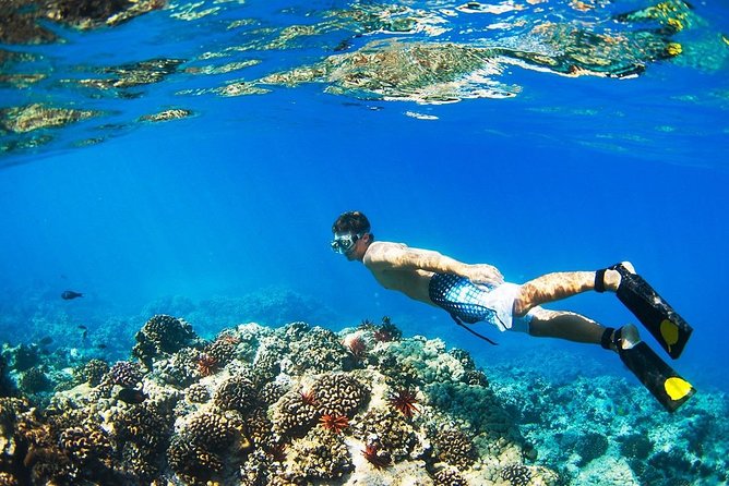 Half Day Tour Snorkeling in Nha Trang Bay Included Lunch - Accessibility Information