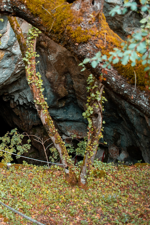 Half-Day Tour to Klis Fortress and VranjačA Cave - Stella Croatica