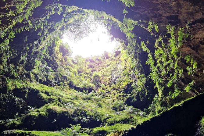 Half Day Tour to the Caves - Booking and Pricing Details