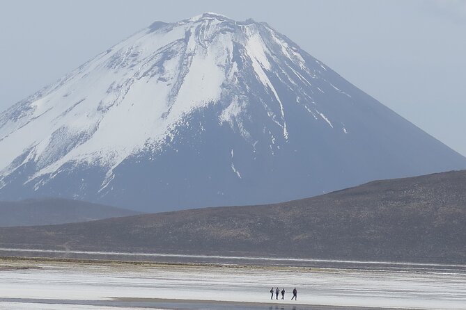 Half Day Trek To Volcan Misti - Meeting Point and Pickup