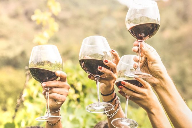 Half Day Trip to Undurraga Vineyard From Santiago - Wine Tasting Included - Sampling Three Distinctive Wines