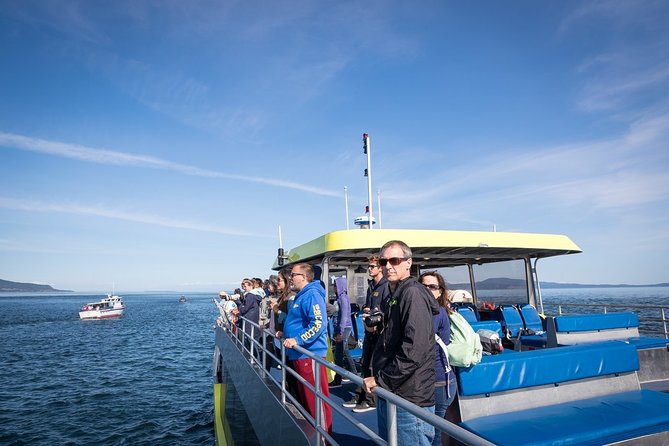 Half-Day Whale Watching Adventure From Vancouver - Educational Experience With Guides