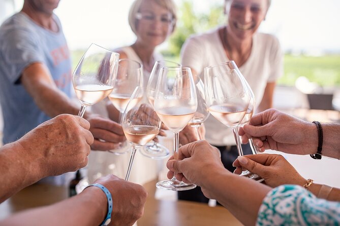 Half Day Wine Tasting With Dinner in Kos - Accessibility and Health Considerations